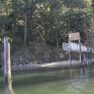 Dock at Matia Island not yet returned as of March 10th