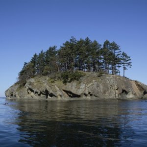 Small island in Rolfe Cove Matia Island