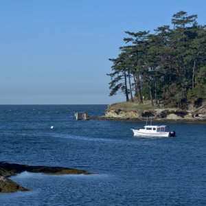Another view of the State Park buoys in Active Cove.