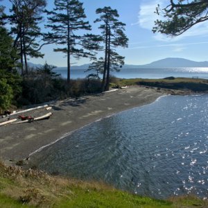 Looking down at the Active Cove beach from the Lighthouse trail