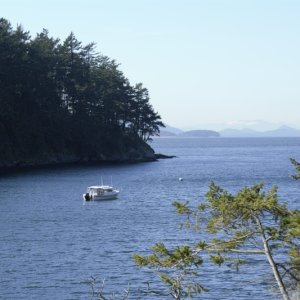 Walking along the lighthouse trail looking out at Active Cove