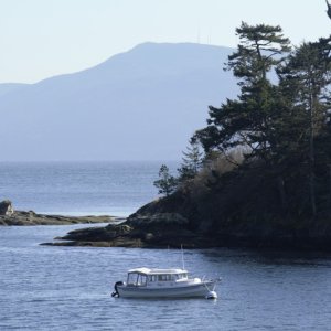 View of Active Cove from Lighthouse Trail on Patos