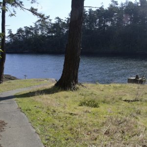 The beginning of the paved sidewalk that leads from the old USCG landing in Active Cove out to the lighthouse