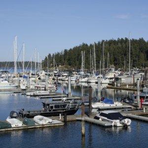 Friday harbor Sunday evening