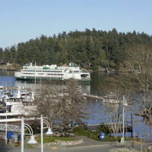Friday harbor Sunday evening