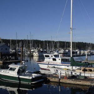 Friday harbor Sunday evening