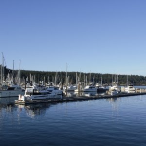 Friday Harbor on Sunday Evening, March 11th