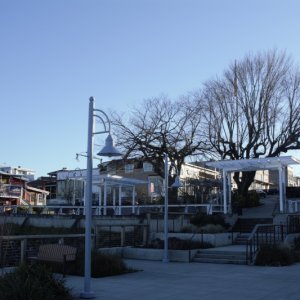 Media 'Friday Harbor on Sunday Evening, March 11th' in album 'Warming up Saturday morning'