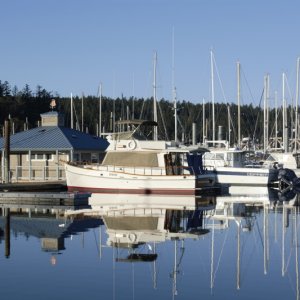 Media 'Friday Harbor on Sunday Evening, March 11th' in album 'Warming up Saturday morning'