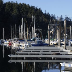 Media 'Friday Harbor on Sunday Evening, March 11th' in album 'Warming up Saturday morning'