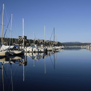 Friday Harbor on Sunday Evening, March 11th