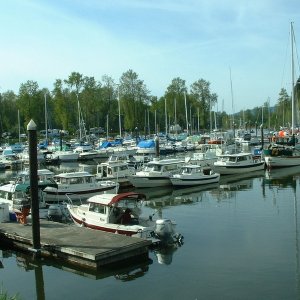 (B~C) boats