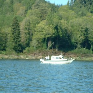 (B~C) A blury picture of the fish pirates of the HelenO