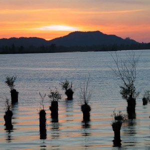 (Primative)
Sunset