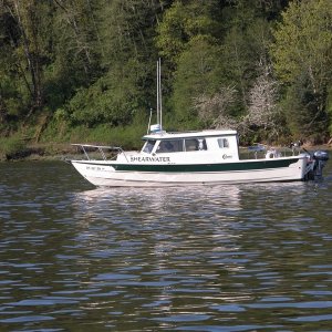 (Primative) Shearwater trolling