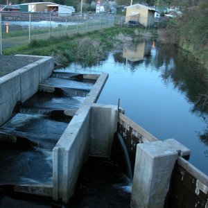 (Primative) 
Fish ladder