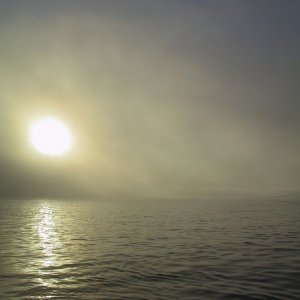 (stevej) Friday AM fishing in the fog