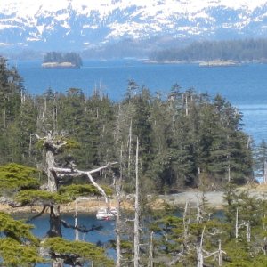 Roz's Cove