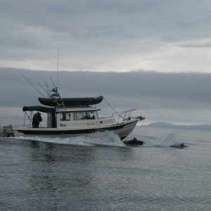 Bidarka 8-8-09