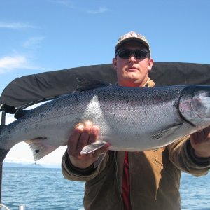 Media 'Silver Salmon 8-1-09' in album 'Seward 5-1-09 025
ShiRoz & Can-Do'