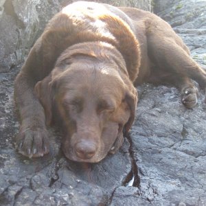 Abby 9-1-09