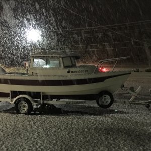 Media 'Still a warm place to sleep' in album 'Bringing home my new Snow-Dory'