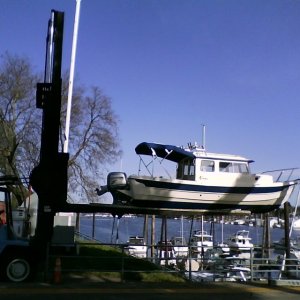 Media 'Honu being lifted into the water on Hayden Island.' in album 'Full camper top'