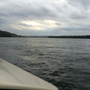 Media 'late October on the Mississippi
near Wyalusing' in album '1st time out-Mississippi River Ferryville - 2016'
