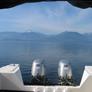 (CheckRaise) Dabob Bay, Hood Canal (February 2004)