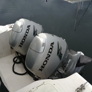 Hondas 2013