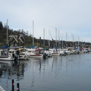 most of the fleet