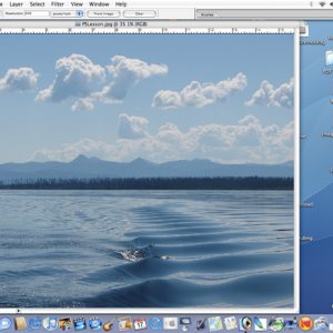 Open Image in PS