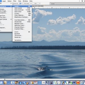 Media 'Image>Levels' in album 'Open Image in PS'