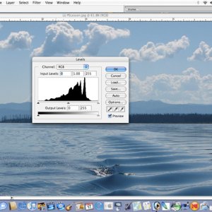Histogram