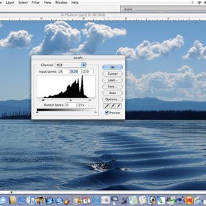 Media 'Adjustment made' in album 'Open Image in PS'