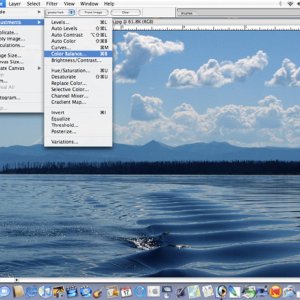 Media 'Image>Balance (for color balance)' in album 'Open Image in PS'