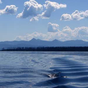 Media 'Final Image' in album 'Open Image in PS'