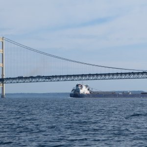 Algoma Niagara