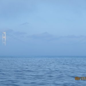 Mac bridge towers in the fog