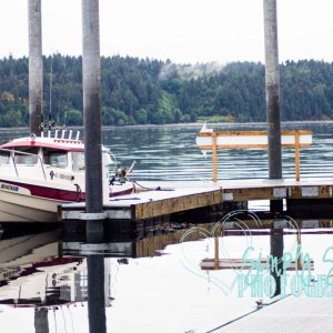 Narrows Marina
