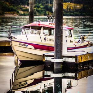 Narrows Marina - Tacoma