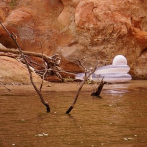 The missing float