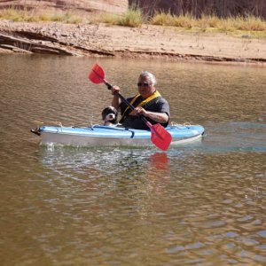 Media 'Baxter goes for a ride' in album 'Bow tree Iceberg Canyon'