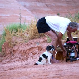 Media 'Baxter begs for steaks' in album 'Bow tree Iceberg Canyon'