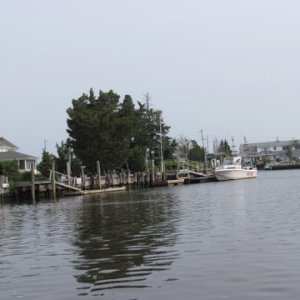 IMG 0524
