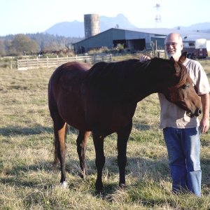 pa and horse 1