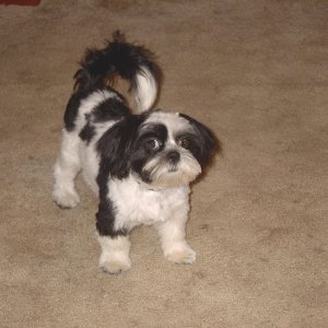 Sophie 9-7-06