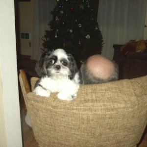 Sophie and G\'pa