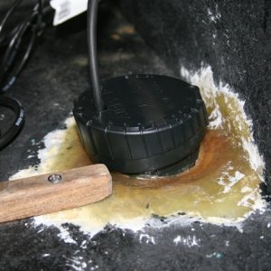 filled with antifreeze