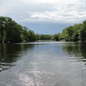 Hontoon Dead River